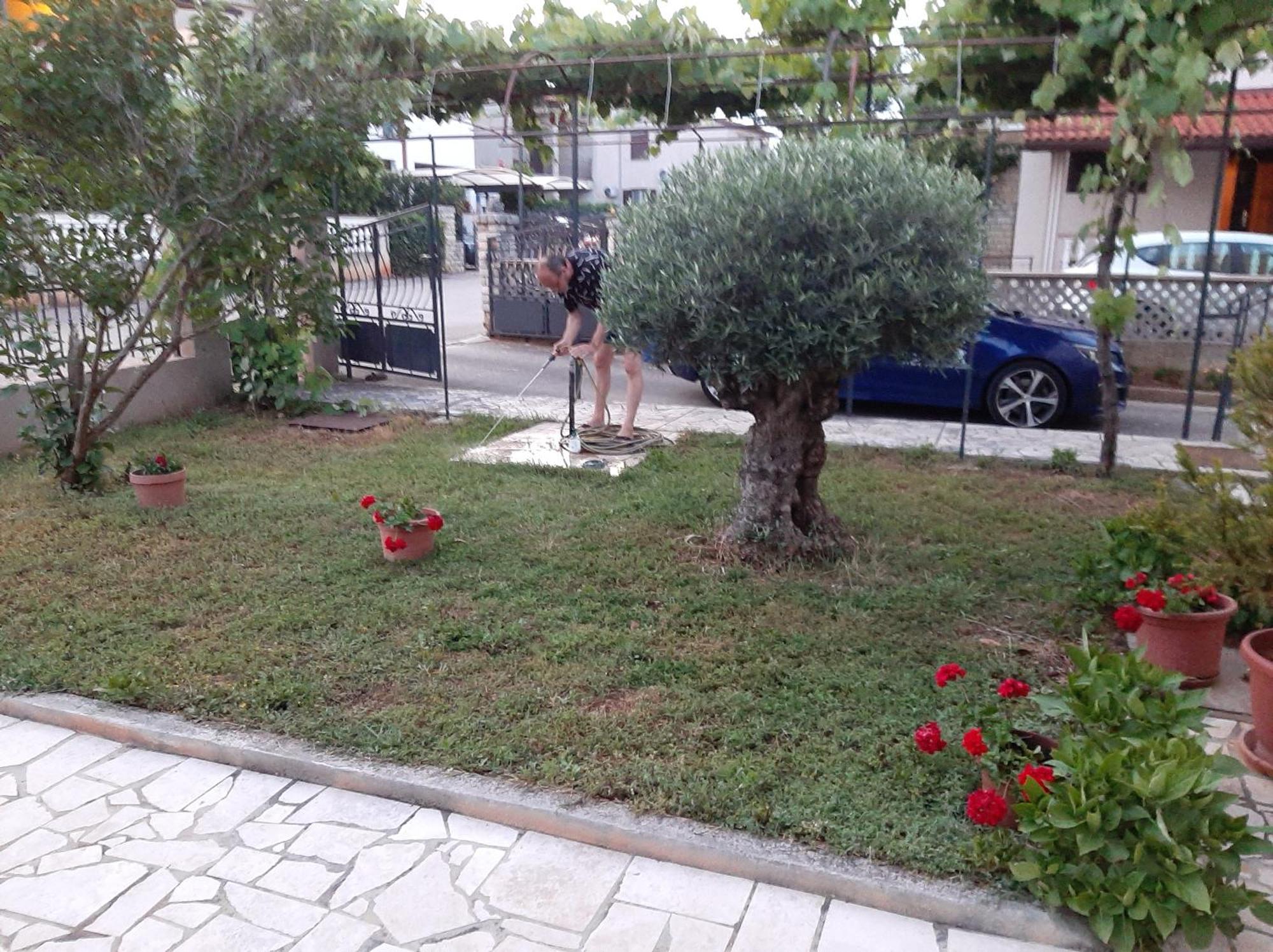 Apartment Stefania Rovinj Pokoj fotografie